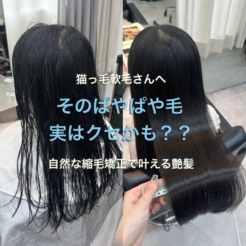 【猫っ毛・細毛】ぱやぱや毛は縮毛矯正で改善できる？| 表参道で叶える